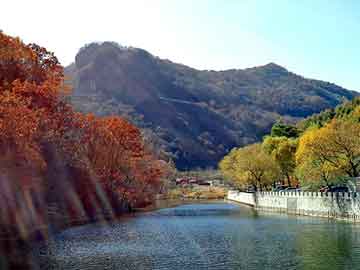 新澳天天开奖资料大全旅游团，北流seo建站